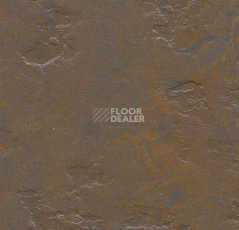 Линолеум Forbo Marmoleum Decibel on Order e374635 newfoundland slate фото 1 | FLOORDEALER